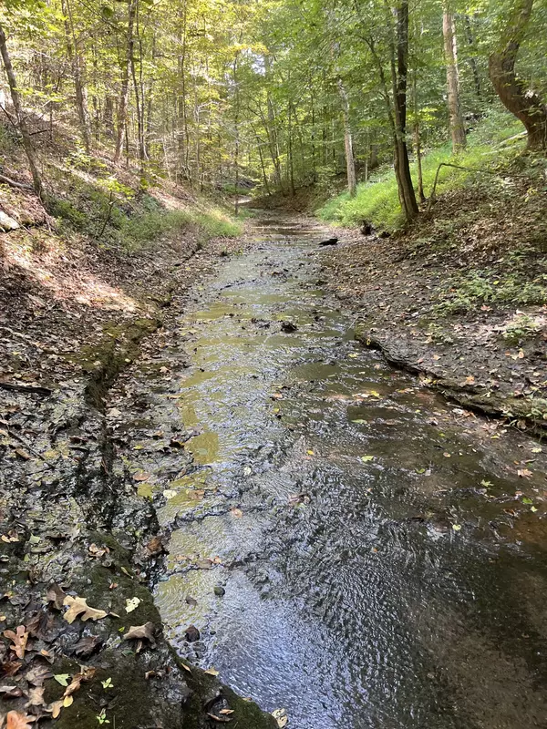 Franklin, TN 37064,5717 Quest Ridge Rd