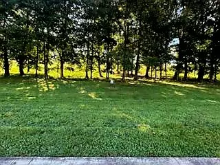 Loudon, TN 37774,1289 Black Cove Ln