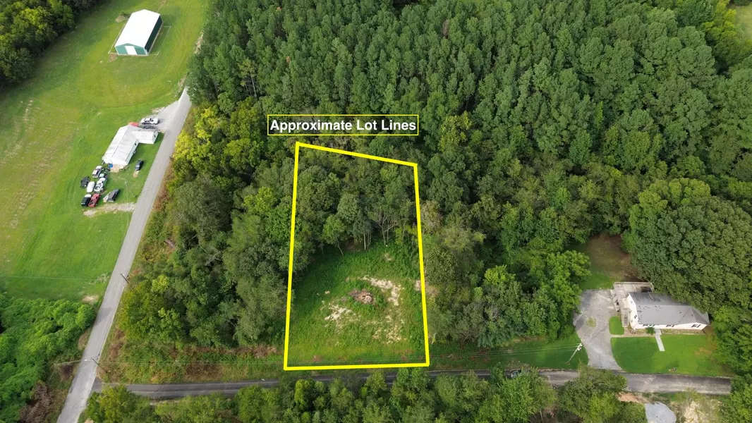 22 Moon Circle, Spring City, TN 37381