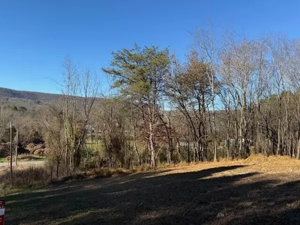 Spring City, TN 37381,22 Moon Circle