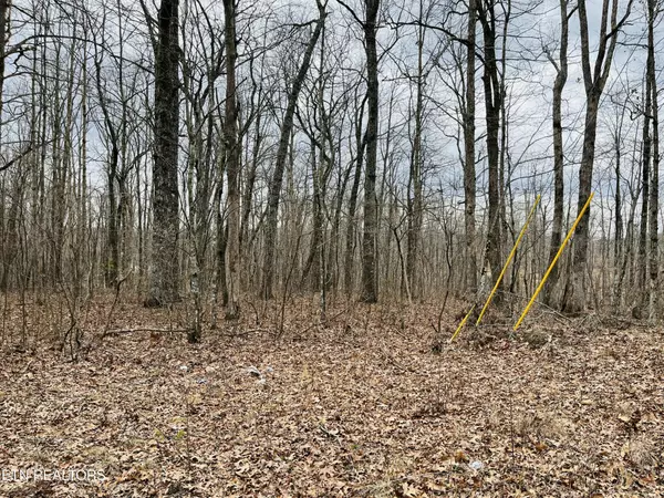 Crossville, TN 38572,59 Morgan Circle