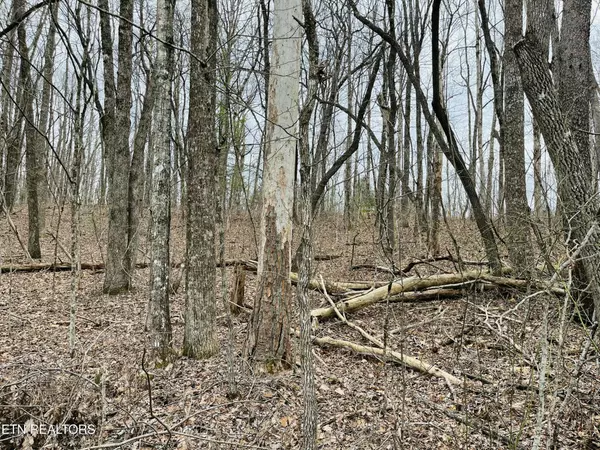 Crossville, TN 38572,19 Burchett Drive