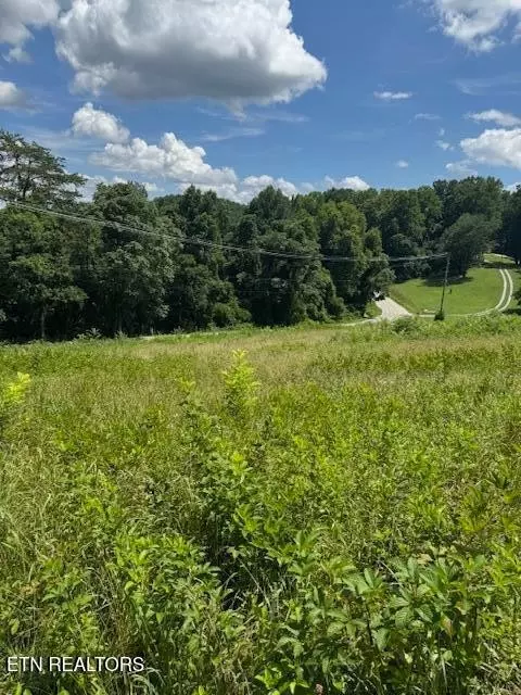 Rocky Top, TN 37769,0 Oak Grove Rd