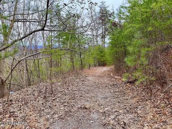 Sevierville, TN 37862,0 Oliver James Way