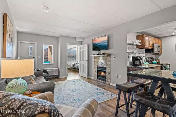 Gatlinburg, TN 37738,413 Baskins Creek Rd ##406