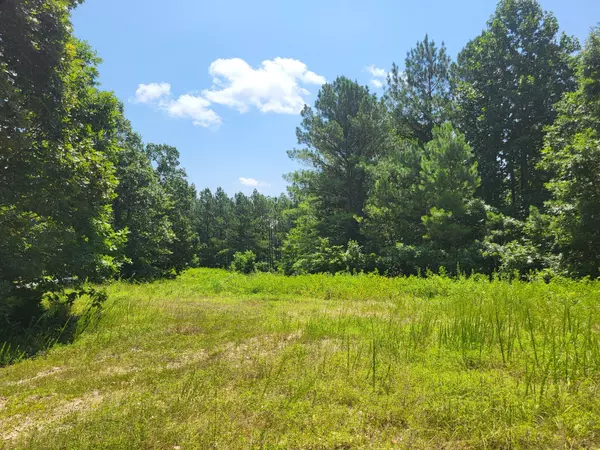 Holladay, TN 38341,0 Strawberry Gables