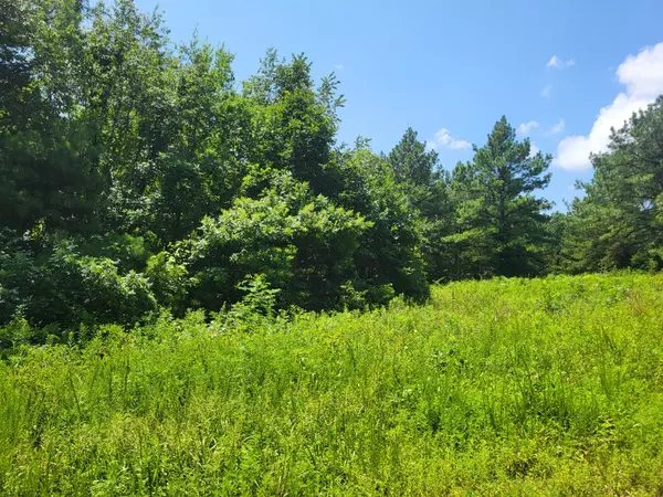 Holladay, TN 38341,0 Strawberry Gables