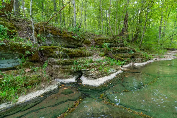 Waynesboro, TN 38485,1526 Old Beech Creek Rd