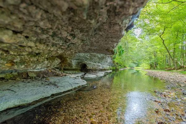 Waynesboro, TN 38485,1526 Old Beech Creek Rd