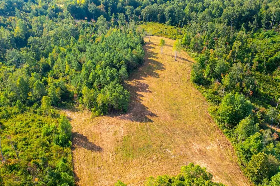 0 Kro Hollow Rd, Hohenwald, TN 38462