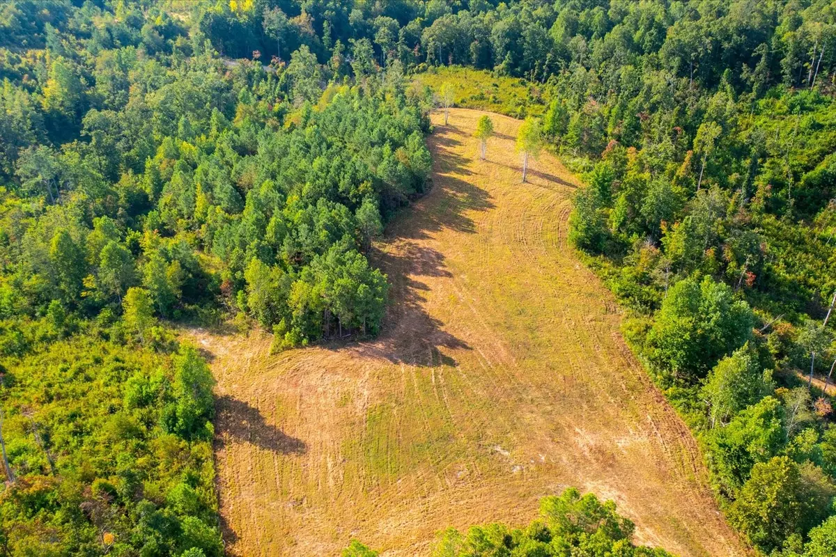 Hohenwald, TN 38462,0 Kro Hollow Rd