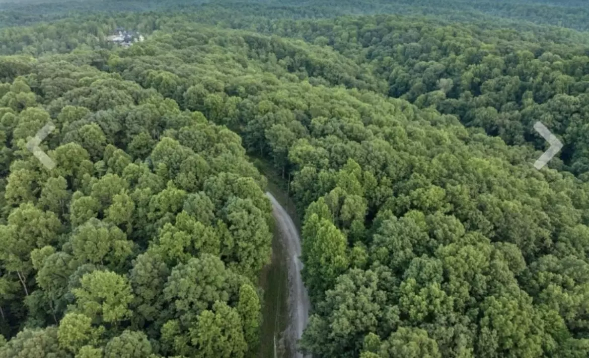 Pegram, TN 37143,1011 Frontier Acres Dr