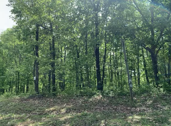 Pegram, TN 37143,1011 Frontier Acres Dr