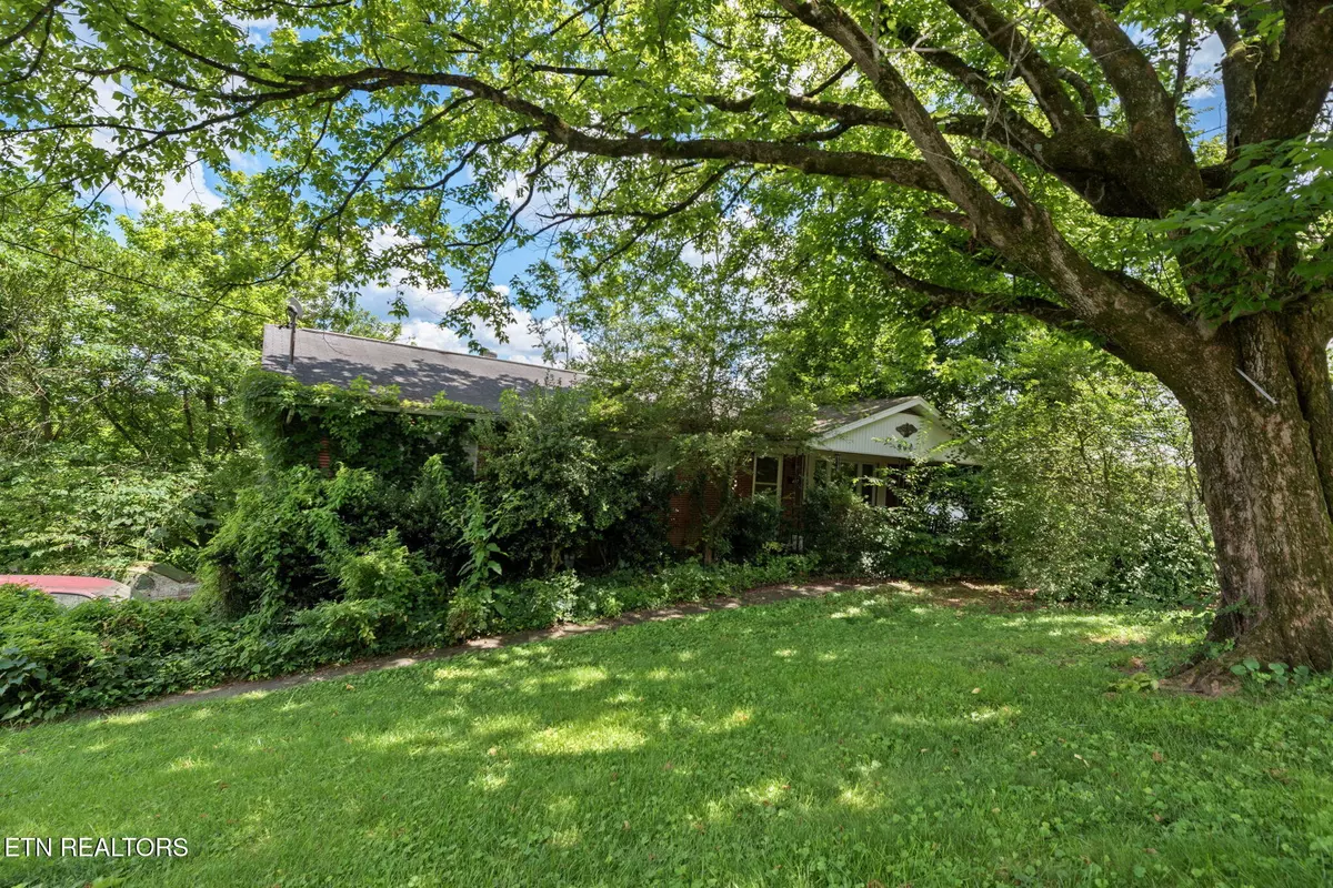 Clinton, TN 37716,403 Hickory St