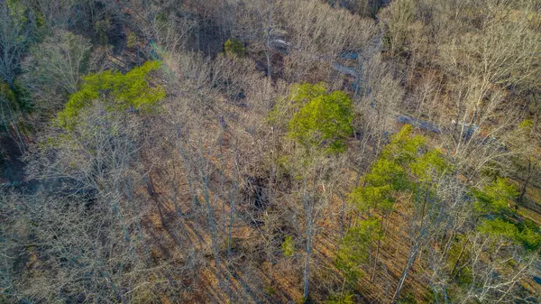 Spring City, TN 37381,0 Beach Road