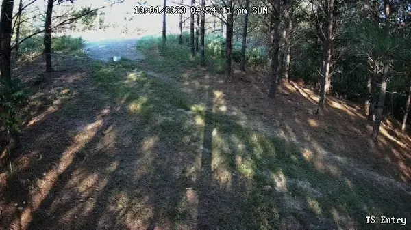 Linden, TN 37096,6004 Old Hohenwald Rd