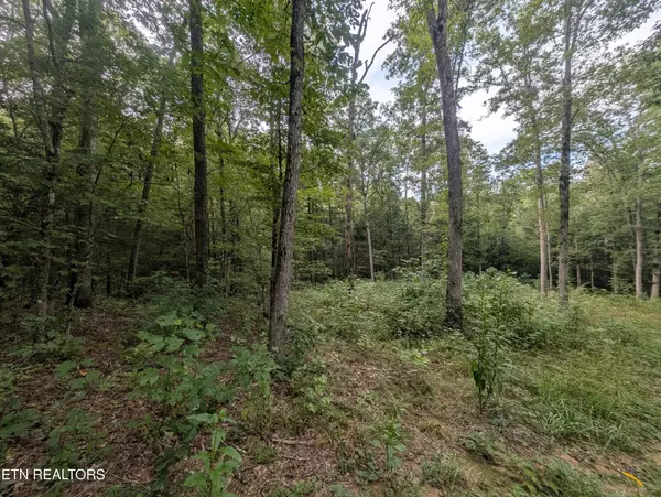 Clarkrange, TN 38553,0 Hollow Creek Lane