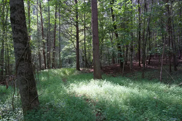 Rock Island, TN 38581,2 West of Barlow Rd
