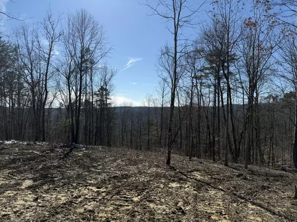 Dunlap, TN 37327,0 Hobbstown Road