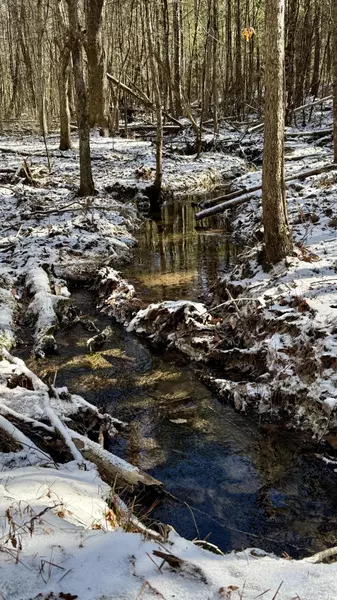 0 Sullivan Road, Dunlap, TN 37327