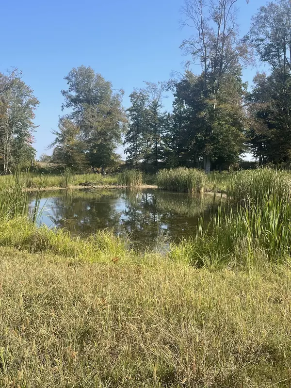 Adolphus, KY 42120,0 Old Buck Creek Rd