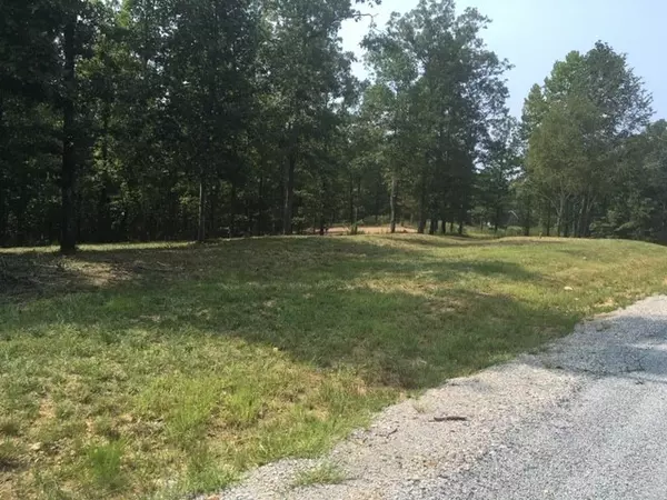 81 The Woodlands of Nashville, Mc Ewen, TN 37101