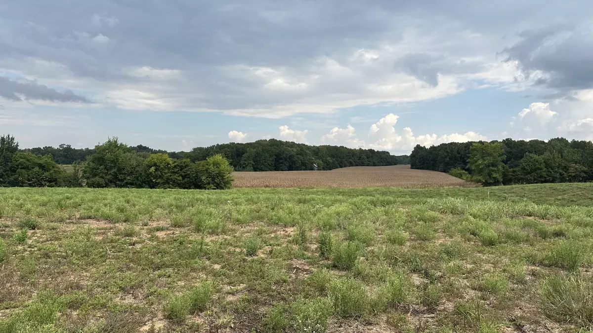 Springfield, TN 37172,2 William Woodard Road