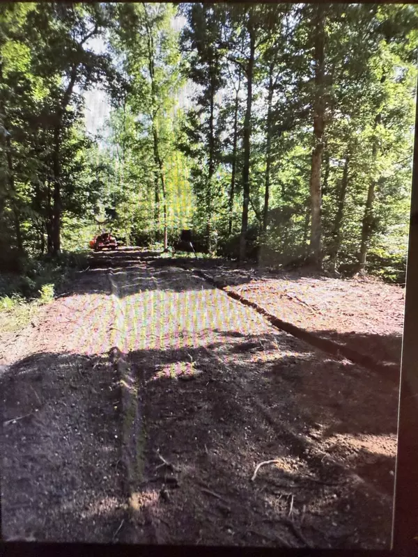 Linden, TN 37096,5273 Sinking Creek Rd