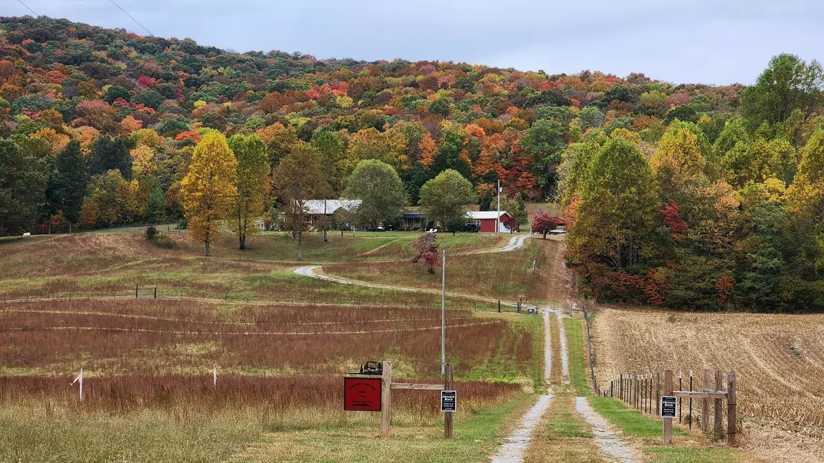 Morrison, TN 37357,604 Oris Sain Rd