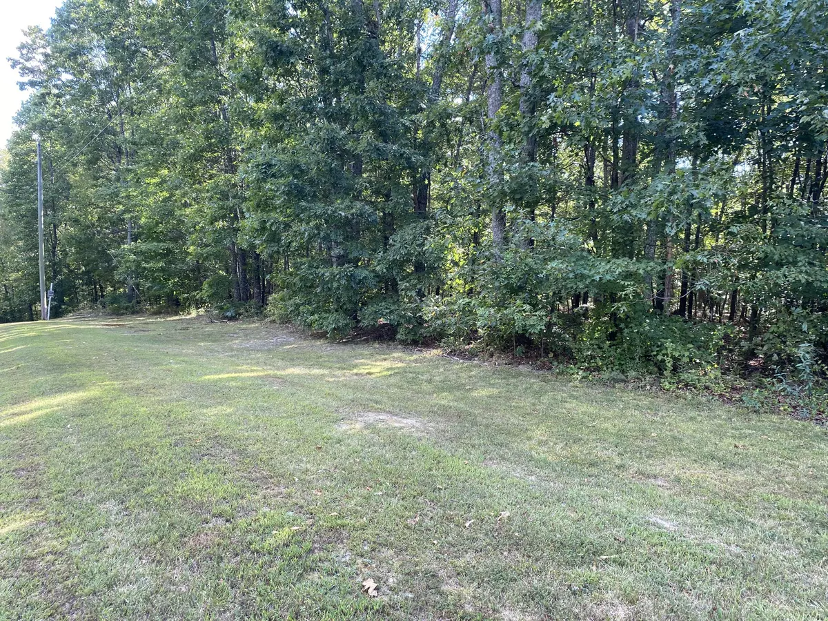 Summertown, TN 38483,0 Redstone Dr