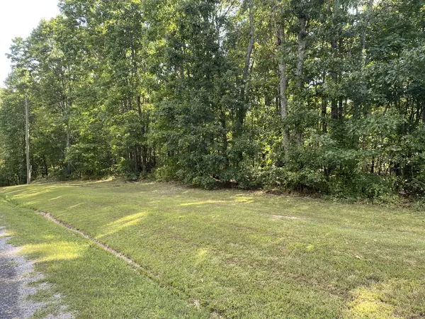 Summertown, TN 38483,0 Redstone Dr