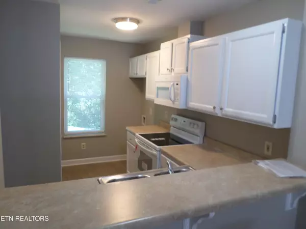 Knoxville, TN 37923,682 Shadywood Lane