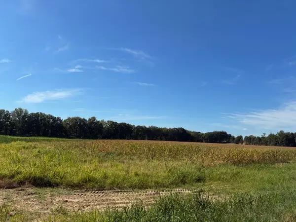 Halls, TN 38040,13197 Johnson Grove Rd