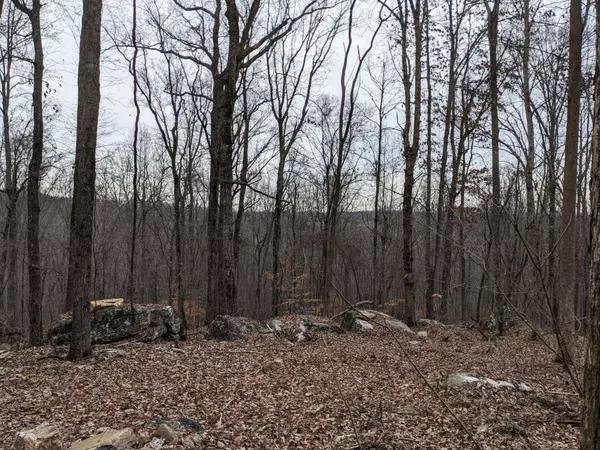 Mc Donald, TN 37353,10688 Pine Hill Road