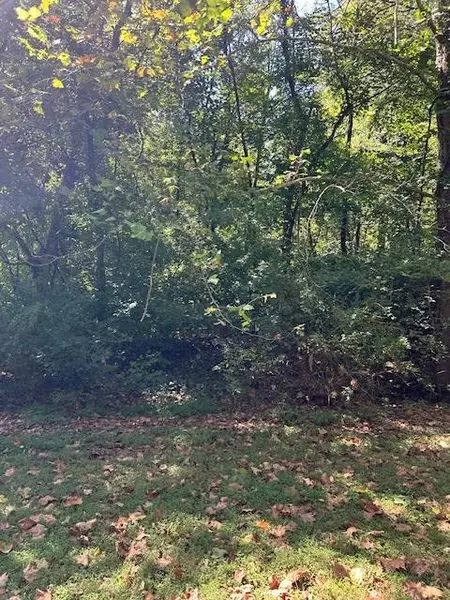 2411 Snowbird Hollow Rd, Franklin, TN 37064