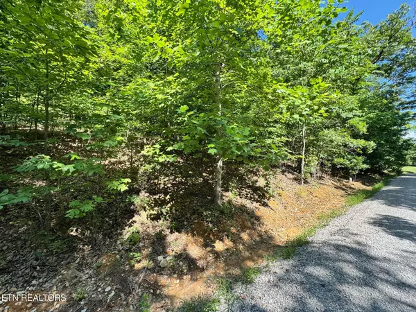 Allons, TN 38541,626 North Pointe Tr