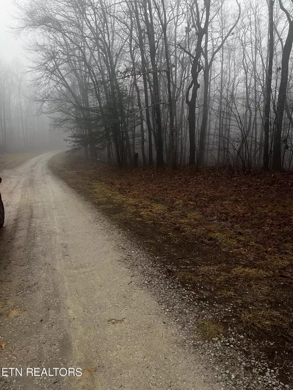 Crab Orchard, TN 37723,0 Running Deer