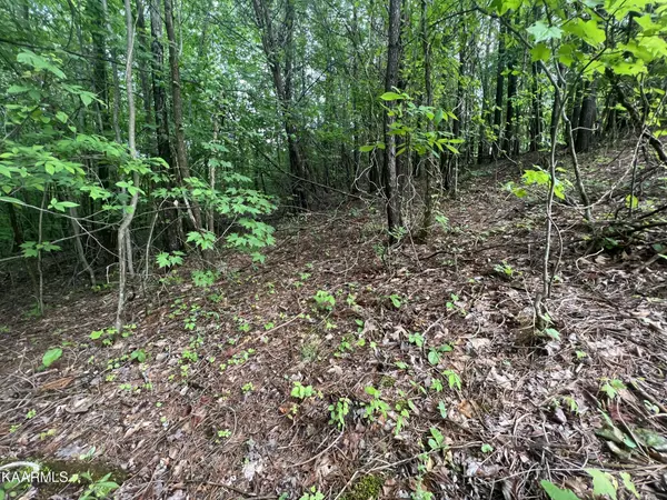 Sparta, TN 38583,7 River Front Drive