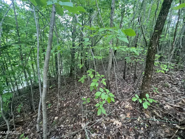 Sparta, TN 38583,7 River Front Drive