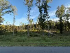 White Bluff, TN 37187,0 Jones Creek Rd