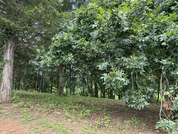 Jasper, TN 37347,57 Captains Way