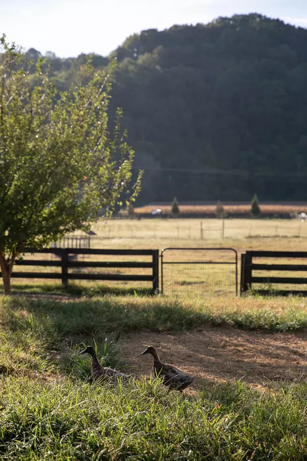 Franklin, TN 37064,5495 Leipers Creek Rd