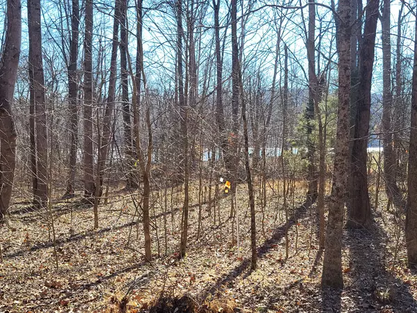 0 Monasco Rd, Millington, TN 38053