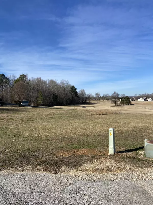 Decaturville, TN 38329,0 Rest Lane