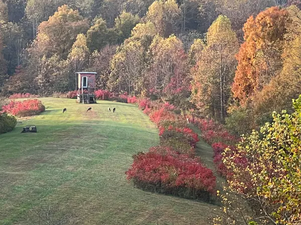 Westmoreland, TN 37186,1103 Johnny Spears Rd