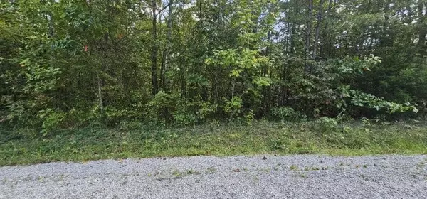 Dunlap, TN 37327,13 Bear Wallow Rd