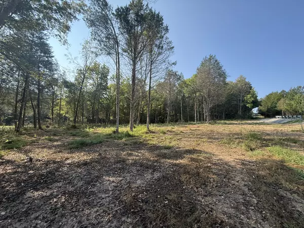 Waynesboro, TN 38485,0 Waynesboro HWY