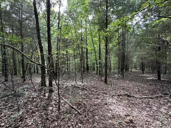 Ashland City, TN 37015,352 Kirby Hill Rd