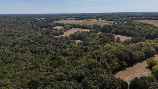 Big Sandy, TN 38221,0 Cedar Grove Rd