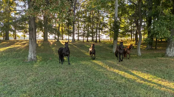 Springfield, TN 37172,1421 Lawrence Ln